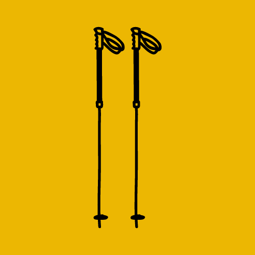 Bâtons de ski